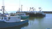 PICTURES/New Brunswick - Village of Alma/t_4Boats2 - High.JPG